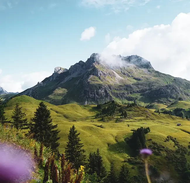 Smart Grid Technology